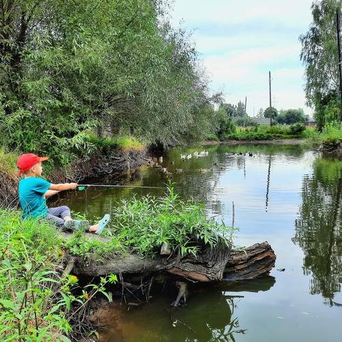 Photo #9494025