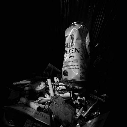 Photo #9494288