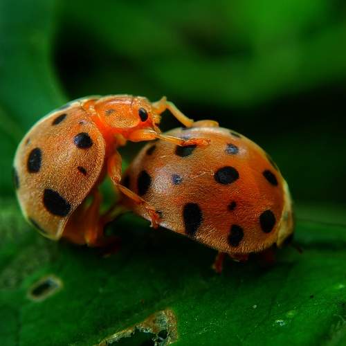 Photo #9494407