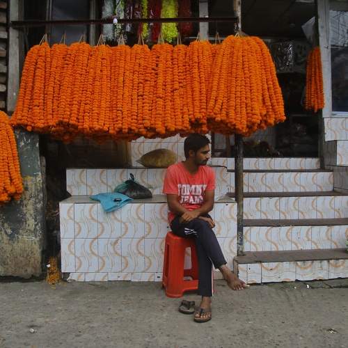Photo #9494544