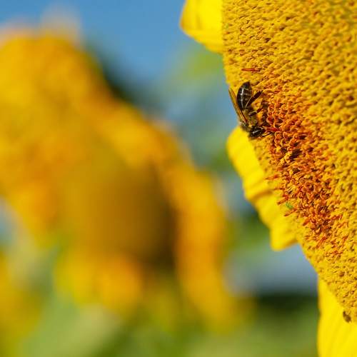 Photo #9494601