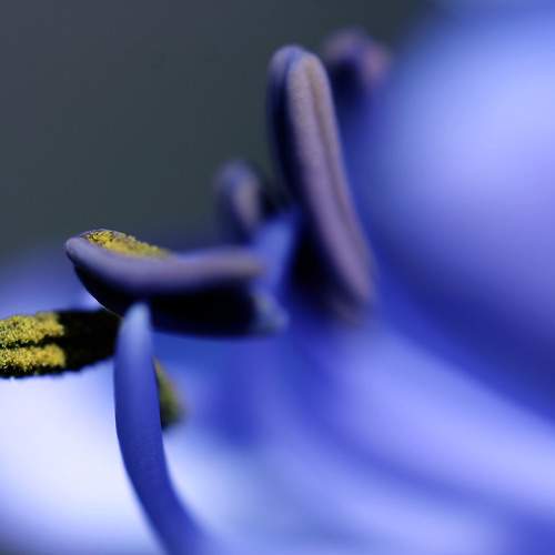 Photo #9494674