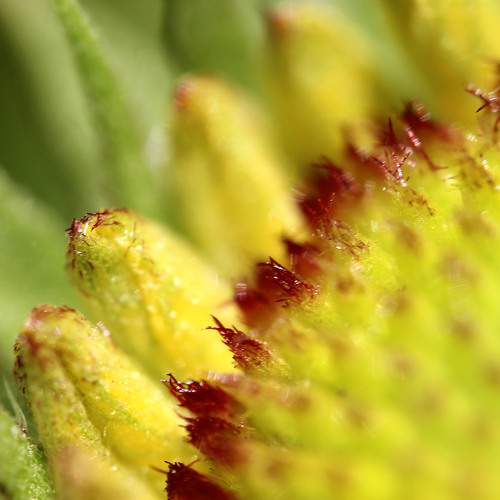 Photo #9494677