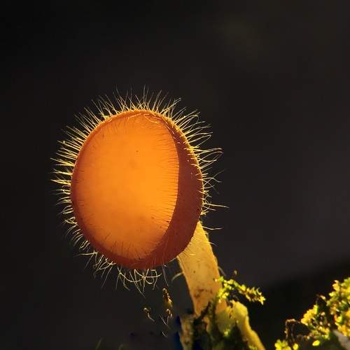 Photo #9494874