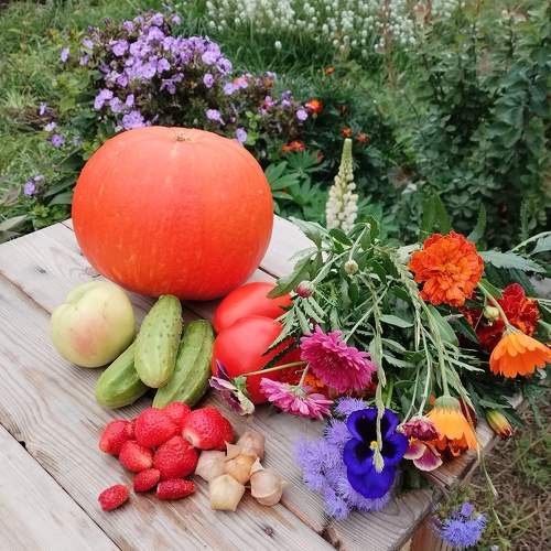 Photo #9495096