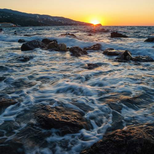 Photo #9495332