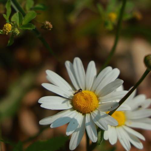 Photo #9495336