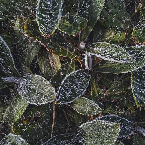 Photo #9495482