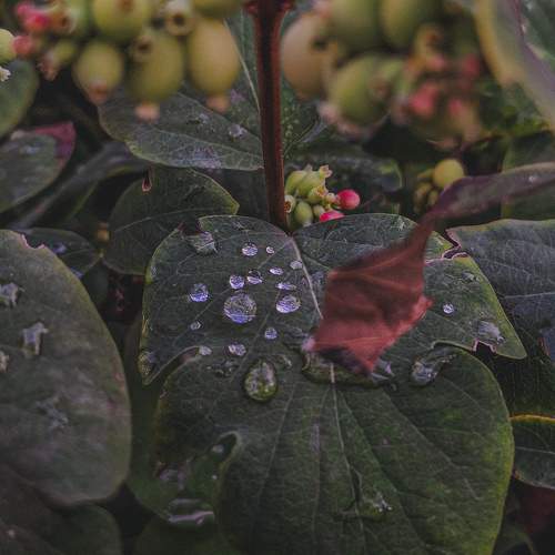 Photo #9495483