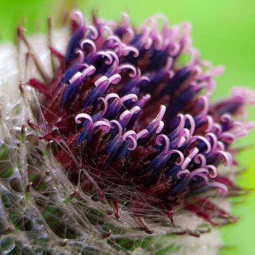 Photo #9495719