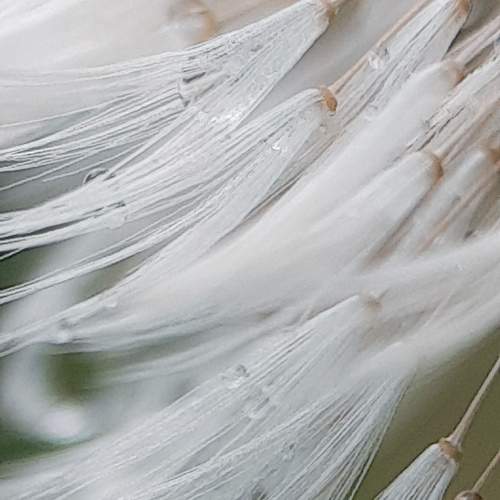 Photo #9495720