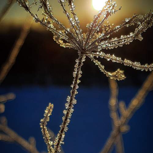 Photo #9495721