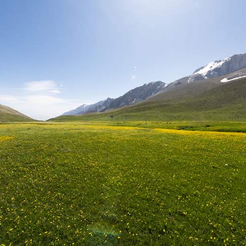 Photo #9495846
