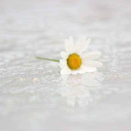 Photo #9495863