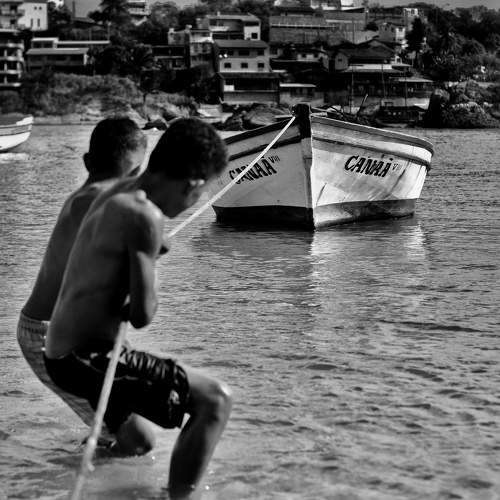 Photo #9495884