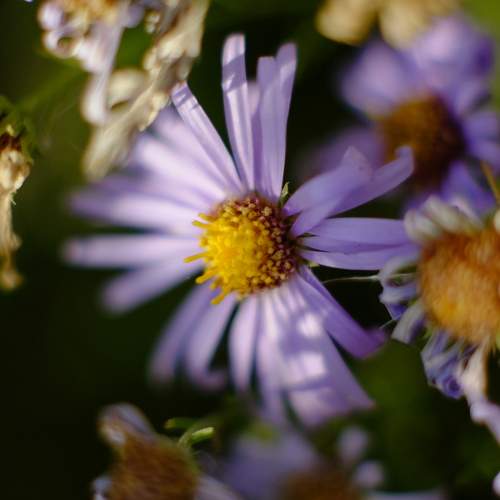 Photo #9495913