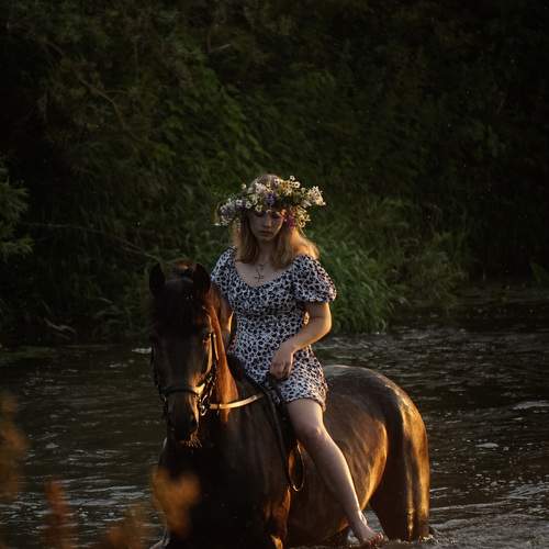 Photo #9496101