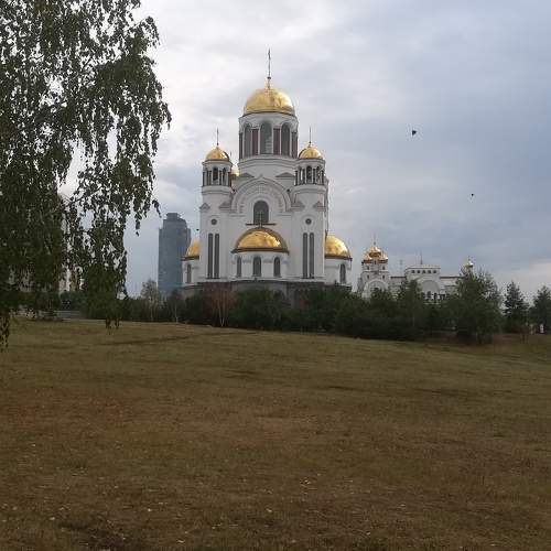 Photo #9496187