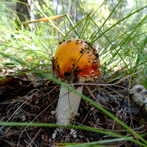 Photo #9496326