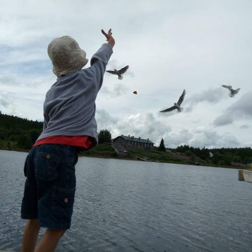 Photo #9497244