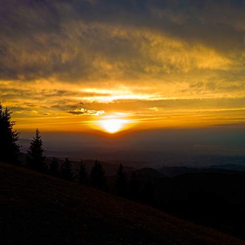 Photo #9497812