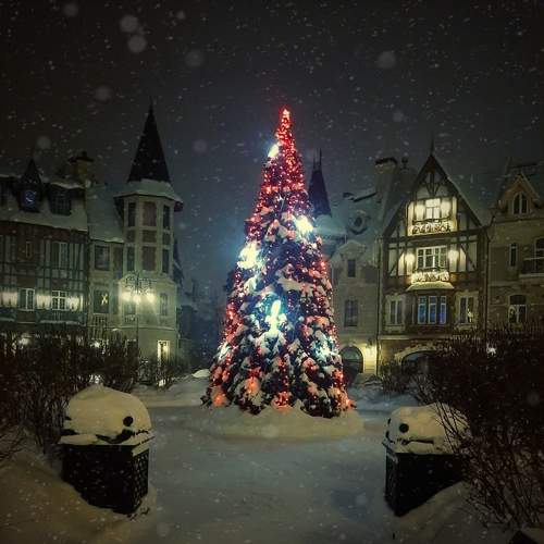 Photo #9498038