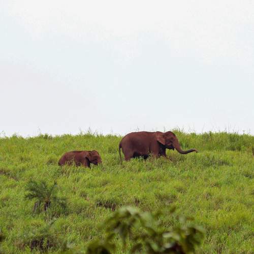 Photo #9498398