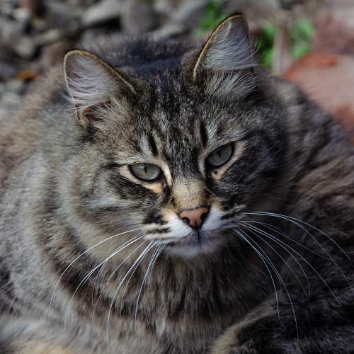 Photo #9498408