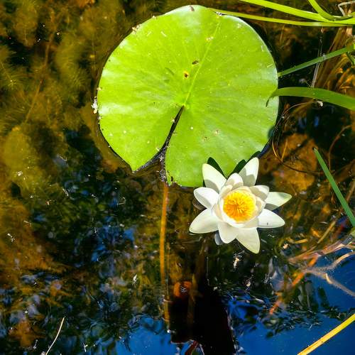 Photo #9498423