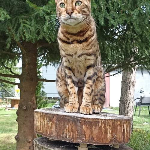 Photo #9498789