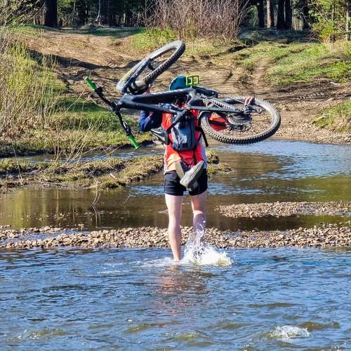 Photo #9498816