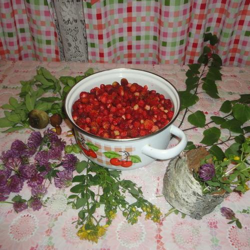 Дары Лесовичка.