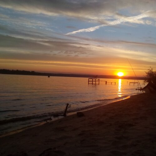 Photo #950894