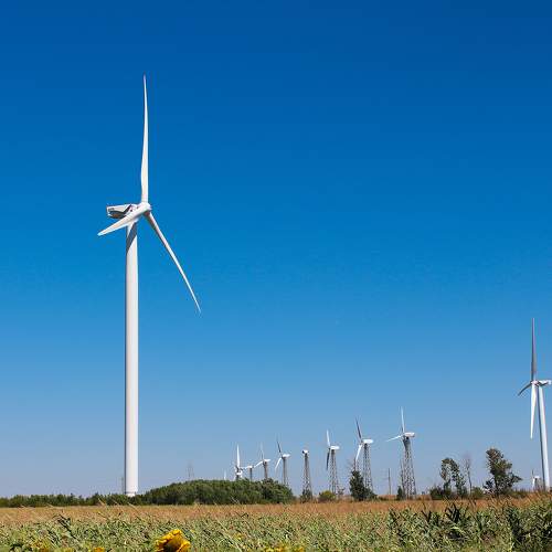 Photo #9500330