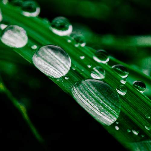 Photo #9500532