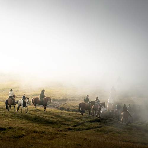 Photo #9500606