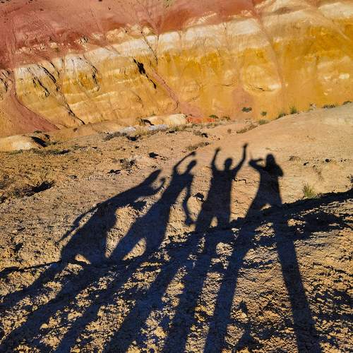 Photo #9500812