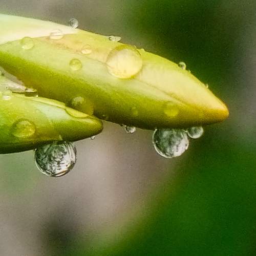 Photo #9501076