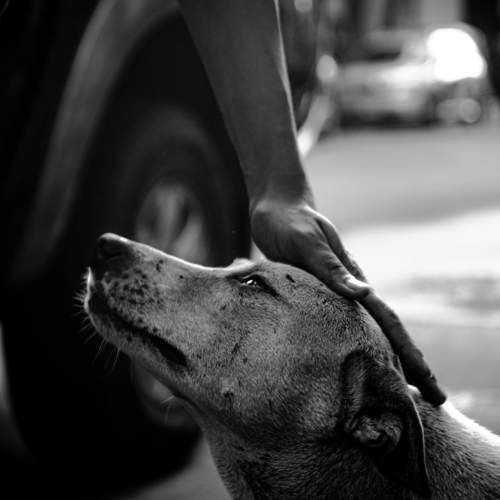 Trust