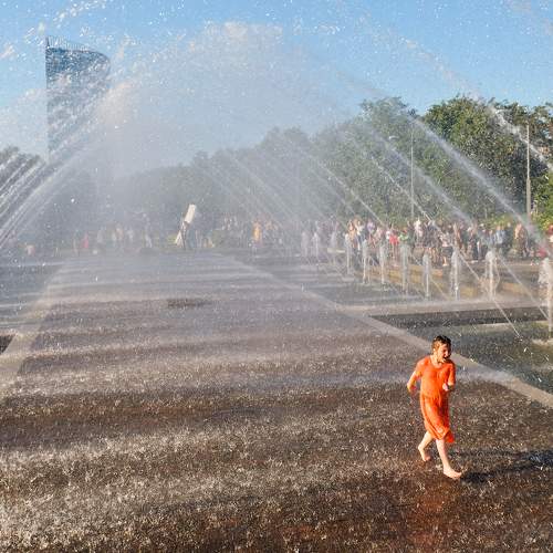 Photo #9501452