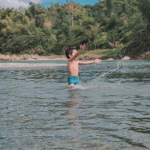 Photo #9501558