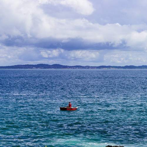 Photo #9501603