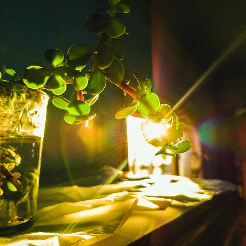 Photo #9502189