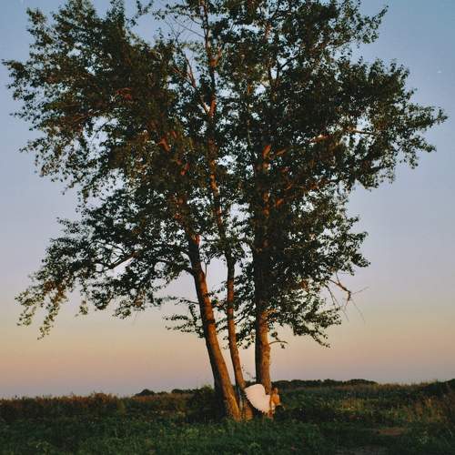 Photo #9502252