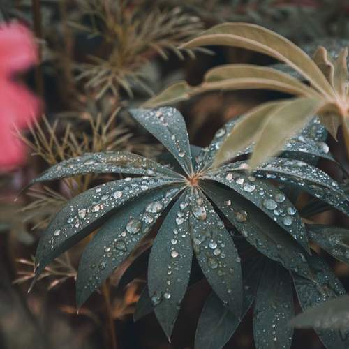 Photo #9502527