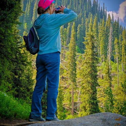 Photo #9502822