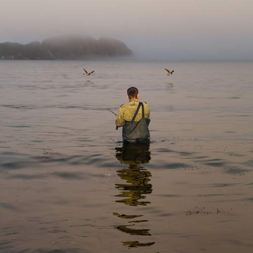 Photo #9503235