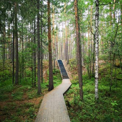 Photo #9503361
