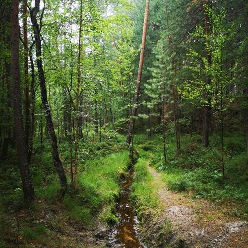 Photo #9503363