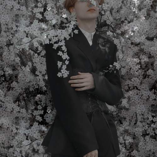 Photo #9503517